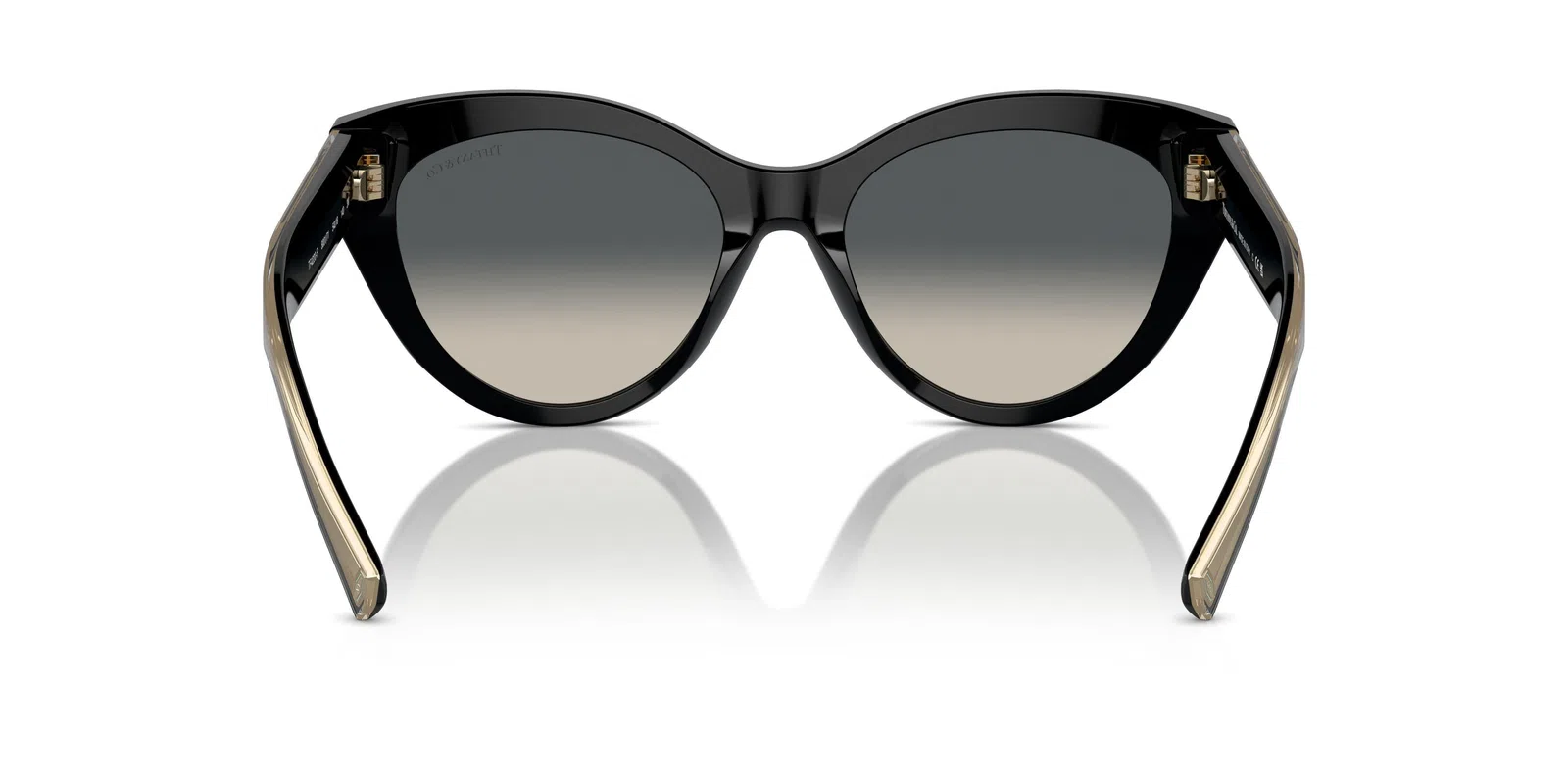 Tiffany 4220F Sunglasses - view 17